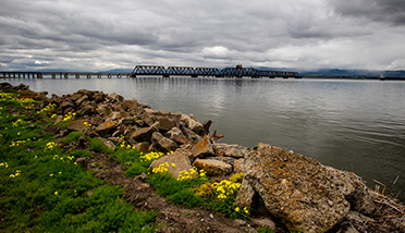 Dumbarton Bridge Newark CA