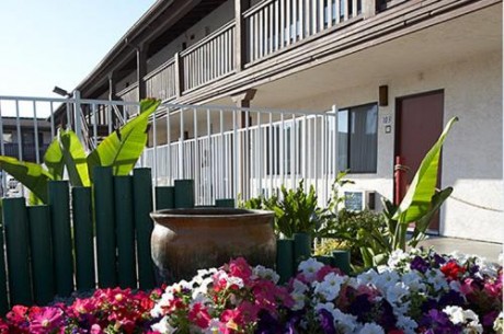 Welcome To EZ 8 Motel Newark California - Beautifully Landscaped